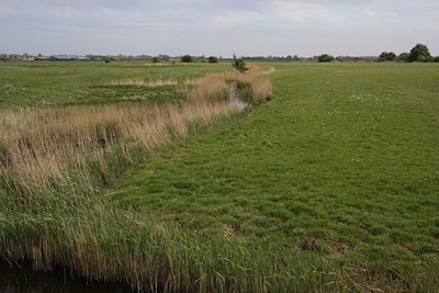 BUITEN BEELD Foto: 61148