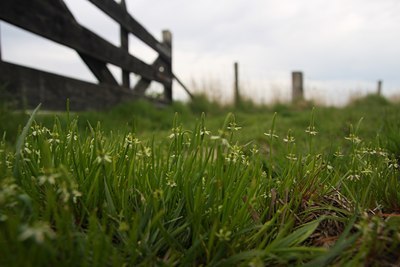 BUITEN BEELD Foto: 61150