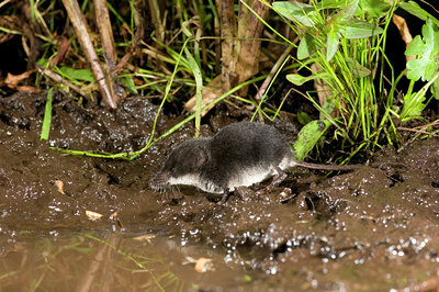 BUITEN BEELD Foto: 61198