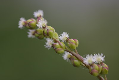 BUITEN BEELD Foto: 61222