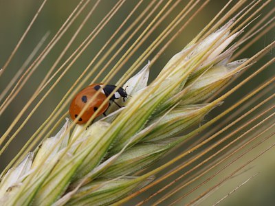 BUITEN BEELD Foto: 61226