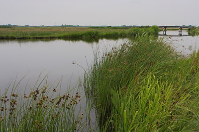BUITEN BEELD Foto: 61228