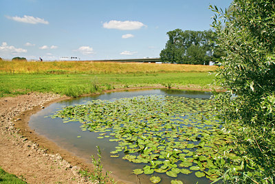 BUITEN BEELD Foto: 61270