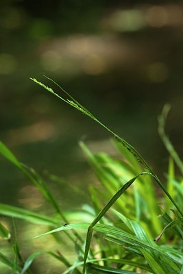 BUITEN BEELD Foto: 61297
