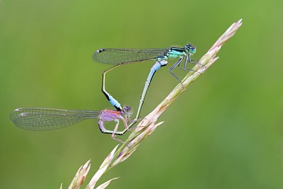BUITEN BEELD Foto: 61334