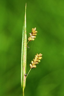 BUITEN BEELD Foto: 61341