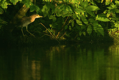 BUITEN BEELD Foto: 61394