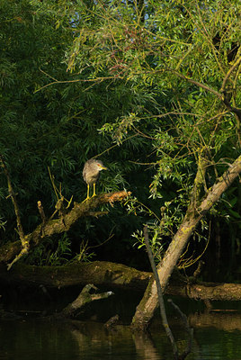 BUITEN BEELD Foto: 61397