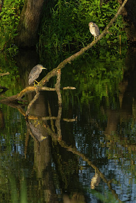 BUITEN BEELD Foto: 61402