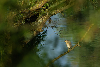 BUITEN BEELD Foto: 61405