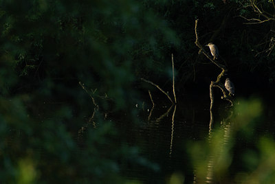 BUITEN BEELD Foto: 61407