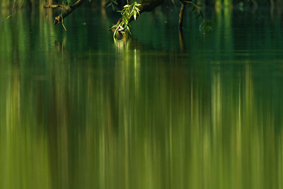 BUITEN BEELD Foto: 61408