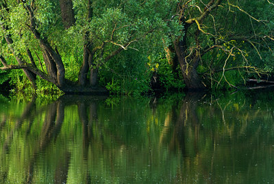 BUITEN BEELD Foto: 61409