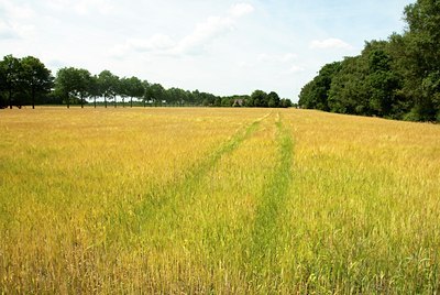 BUITEN BEELD Foto: 61411