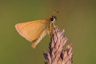 BUITEN BEELD Foto: 61425