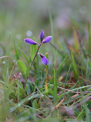 BUITEN BEELD Foto: 61450