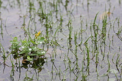 BUITEN BEELD Foto: 61454