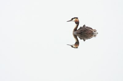 BUITEN BEELD Foto: 61460