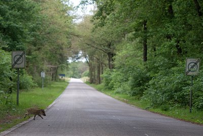 BUITEN BEELD Foto: 61483
