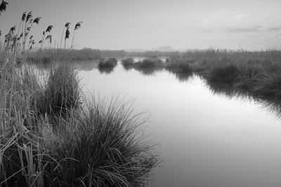 BUITEN BEELD Foto: 61524