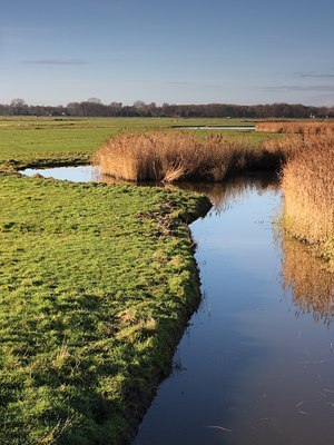 BUITEN BEELD Foto: 61533