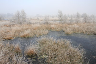 BUITEN BEELD Foto: 61540