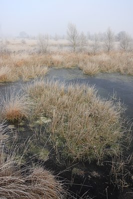 BUITEN BEELD Foto: 61542