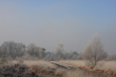 BUITEN BEELD Foto: 61543