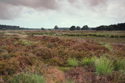 BUITEN BEELD Foto: 61547