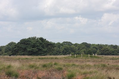 BUITEN BEELD Foto: 61550