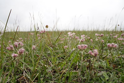 BUITEN BEELD Foto: 61557