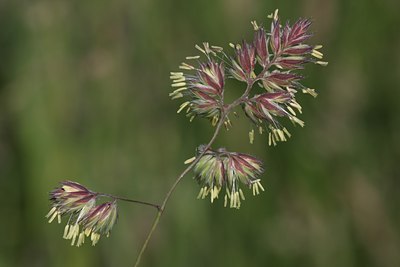 BUITEN BEELD Foto: 61560
