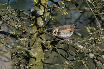 BUITEN BEELD Foto: 61591