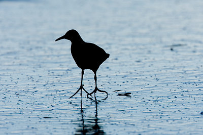 BUITEN BEELD Foto: 61596