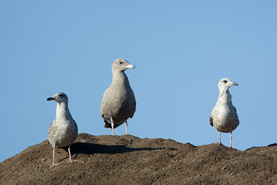 BUITEN BEELD Foto: 61616