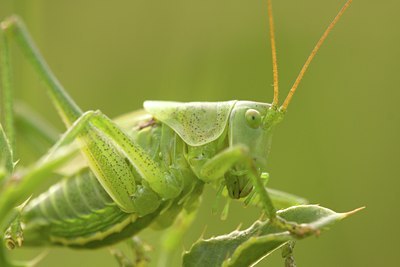 BUITEN BEELD Foto: 61655