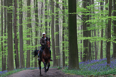 BUITEN BEELD Foto: 61656