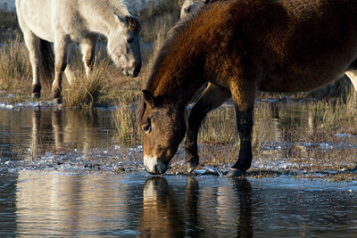 BUITEN BEELD Foto: 61674