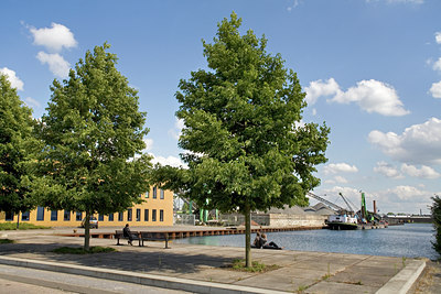 BUITEN BEELD Foto: 61828
