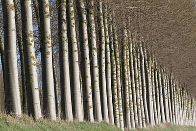 BUITEN BEELD Foto: 61874