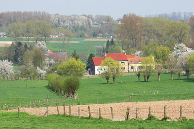 BUITEN BEELD Foto: 61882