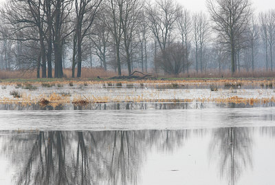 BUITEN BEELD Foto: 61903