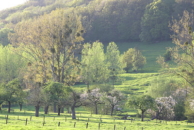 BUITEN BEELD Foto: 61904