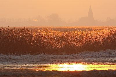 BUITEN BEELD Foto: 61910