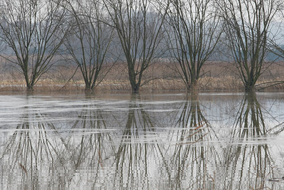 BUITEN BEELD Foto: 61911