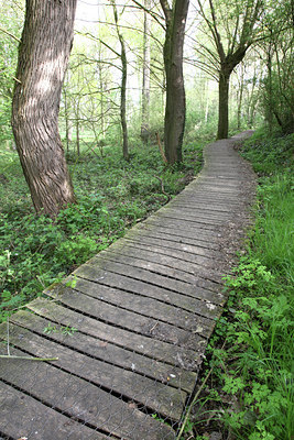 BUITEN BEELD Foto: 61912