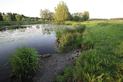 BUITEN BEELD Foto: 61913