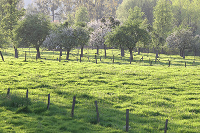 BUITEN BEELD Foto: 61918