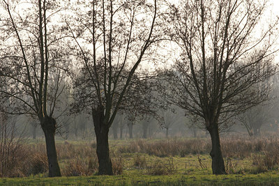 BUITEN BEELD Foto: 61923