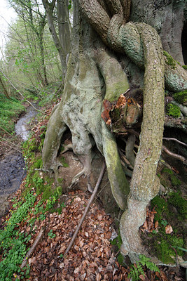 BUITEN BEELD Foto: 61926